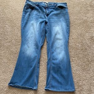 Cato Bootcut petite jeans